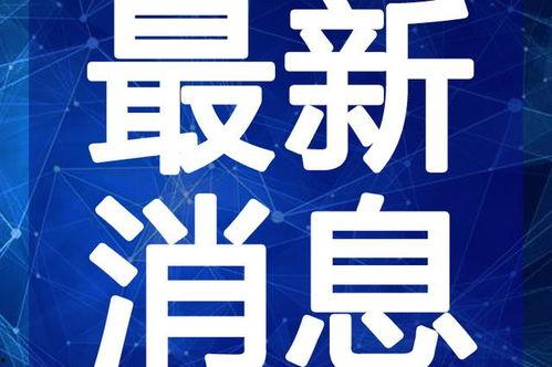小力最新爆料新闻直播视频,最新爆料新闻直播视频深度解析  第2张